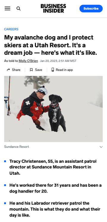 Business Insider article screenshot