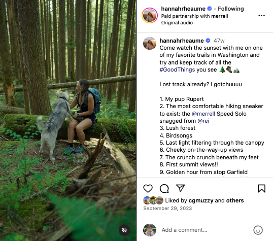 Instagram post screenshot